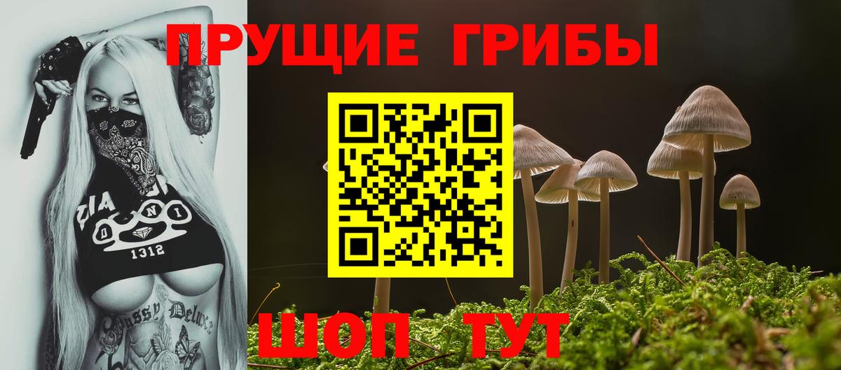 Галлюциногенные грибы прущие грибы  Псилоцибиновые грибы ЛСД  Вход с VPN  Междуреченск 