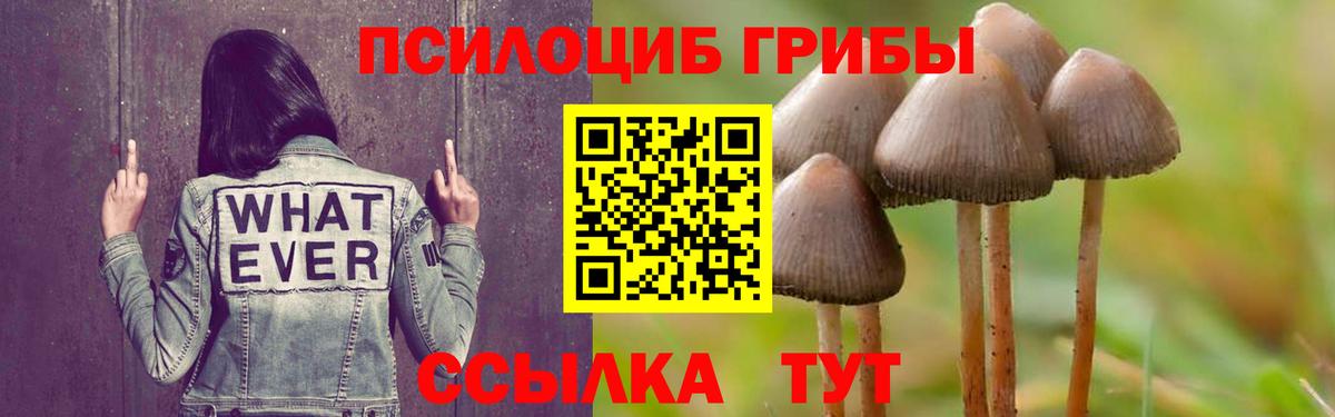 Галлюциногенные грибы GOLDEN TEACHER Междуреченск